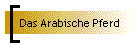 Das Arabische Pferd