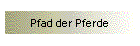 Pfad der Pferde