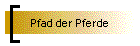 Pfad der Pferde